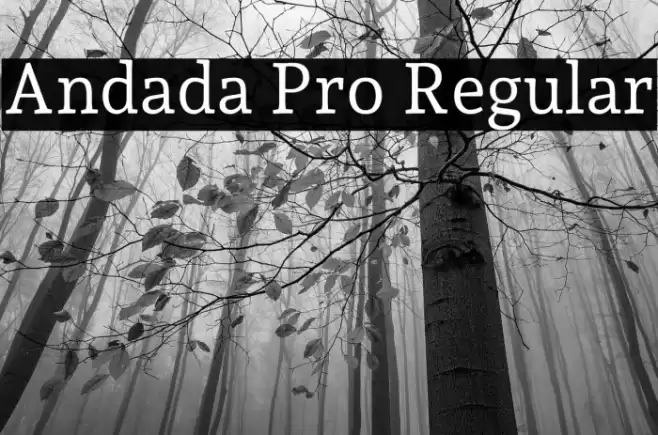 Andada Pro Regular Fuentes examples