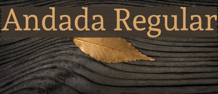 Andada Regular Font examples