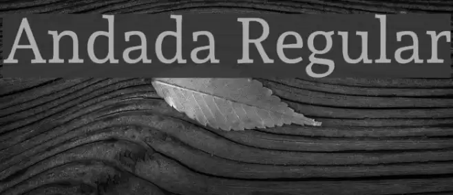 Andada Regular Font examples
