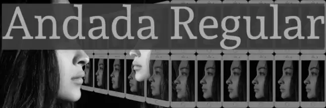 Andada Regular Font examples