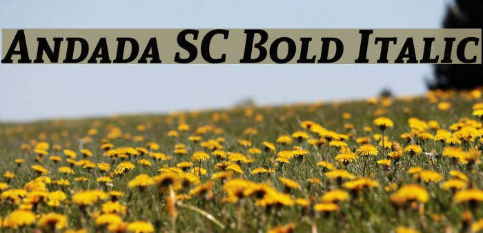 Andada SC Bold Italic Font examples