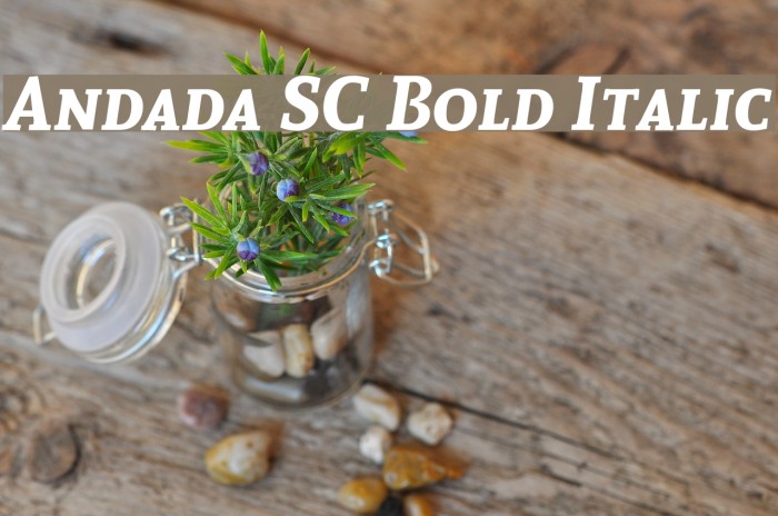 Andada SC Bold Italic Font examples