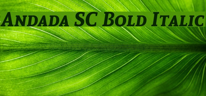 Andada SC Bold Italic Font examples