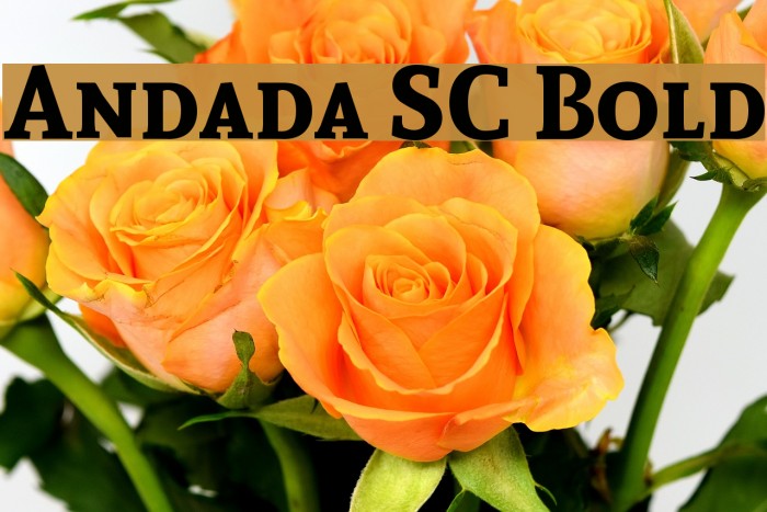 Andada SC Bold Font examples