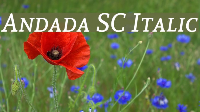 Andada SC Italic Font examples