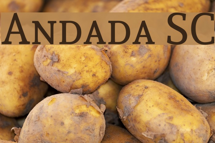 Andada SC Font examples