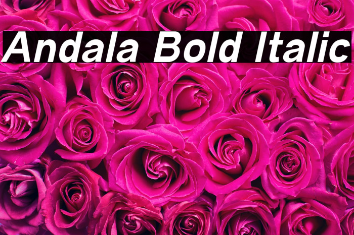 Andala Bold Italic Example 1