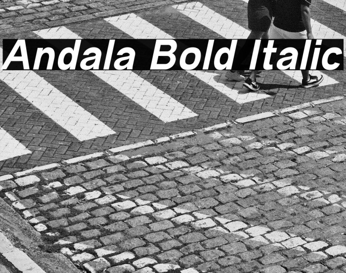 Andala Bold Italic Example 2