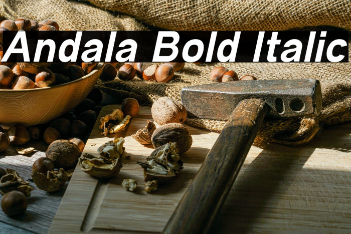 Andala Bold Italic Example 3