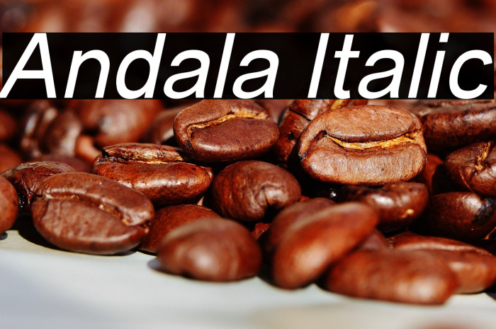 Andala Italic Example 1