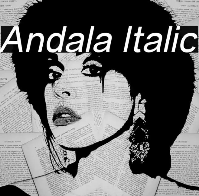 Andala Italic Font examples
