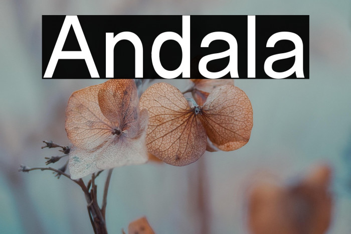 Andala Example 1