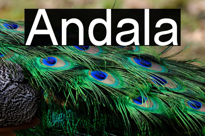 Andala Example 2