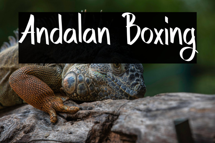 Andalan Boxing Example 1