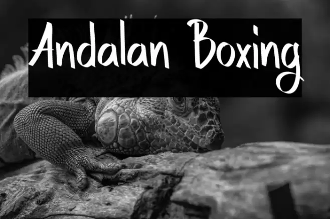 Andalan Boxing خط examples