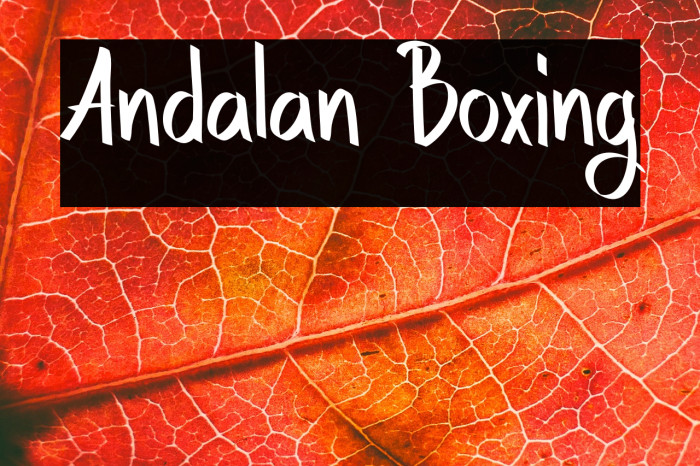 Andalan Boxing Example 3
