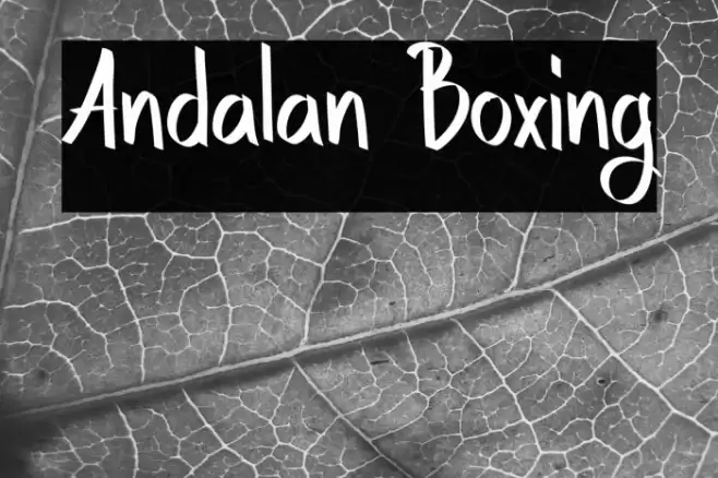 Andalan Boxing خط examples