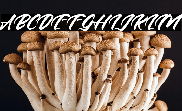 Andalas Regular Example 1