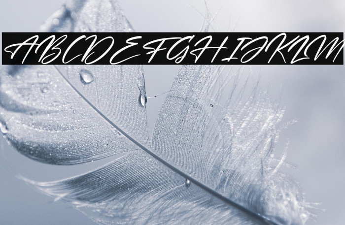 Andalusia Signature Italic Example 3