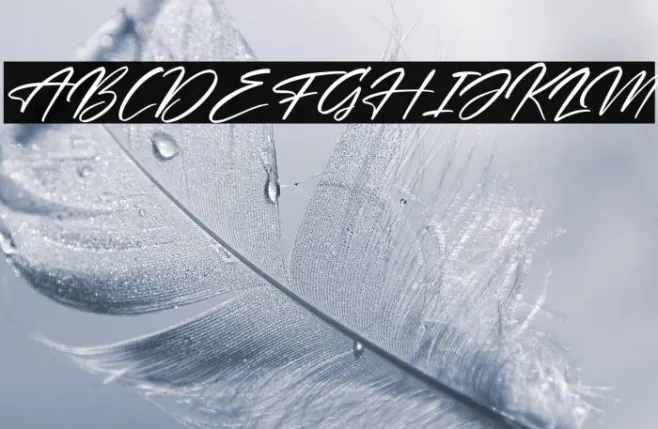 Andalusia Signature Italic Example 3