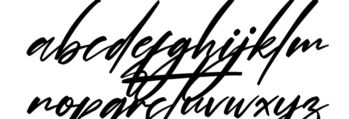 Andalusia Signature Italic Font LOWERCASE