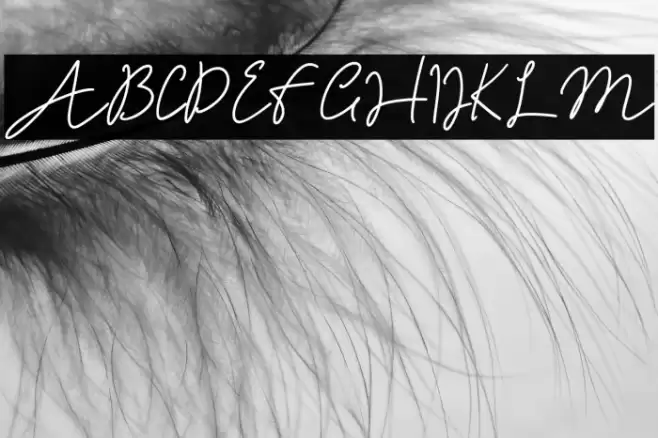 Andalusia Font examples