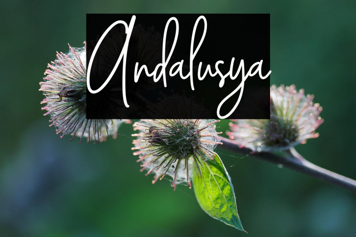 Andalusya Example 3