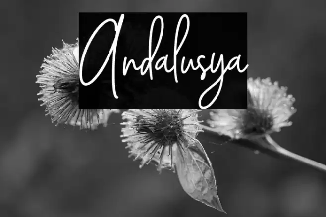 Andalusya Font examples