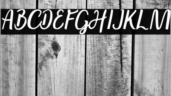 Andaman DEMO Italic Font examples