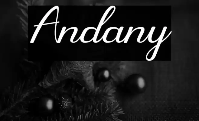 Andany Font examples