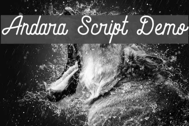 Andara Script Demo Font examples