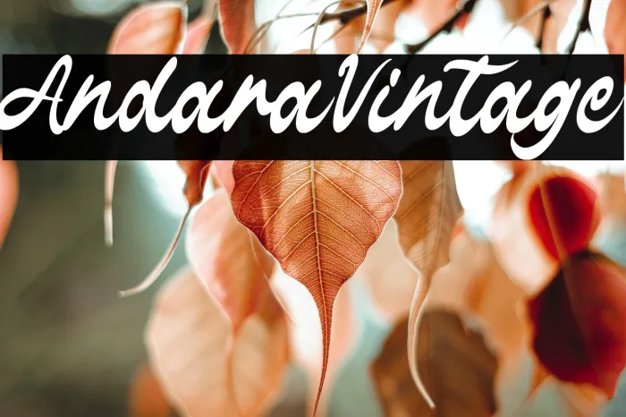 Andara Vintage Example 1