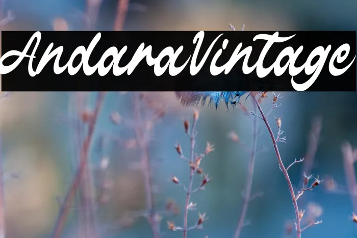 Andara Vintage Example 3