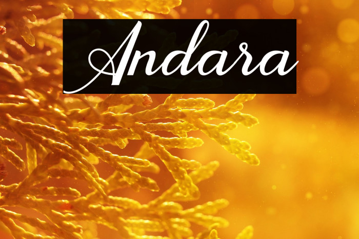 Andara Example 1