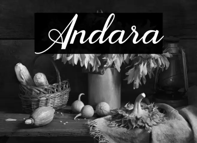 Andara Font examples