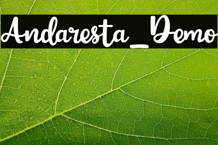 Andaresta_Demo Example 2