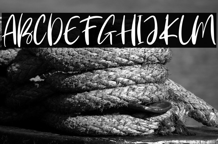 Andaretta Persona Use Example 1