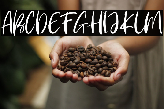 Andaretta Persona Use Example 2