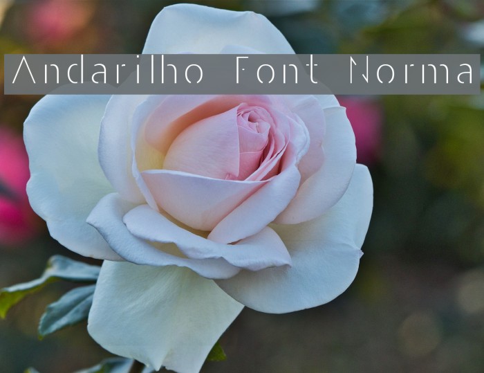 Andarilho Font Normal Example 2