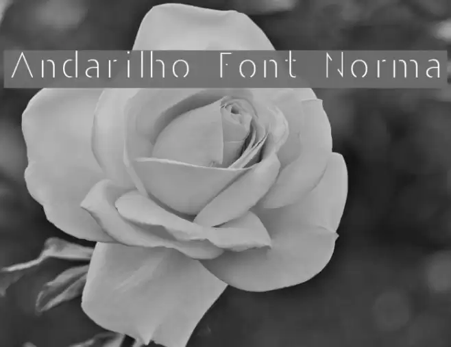 Andarilho Font Normal Font examples