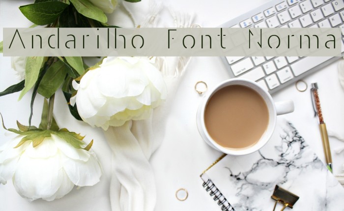 Andarilho Font Normal Example 3