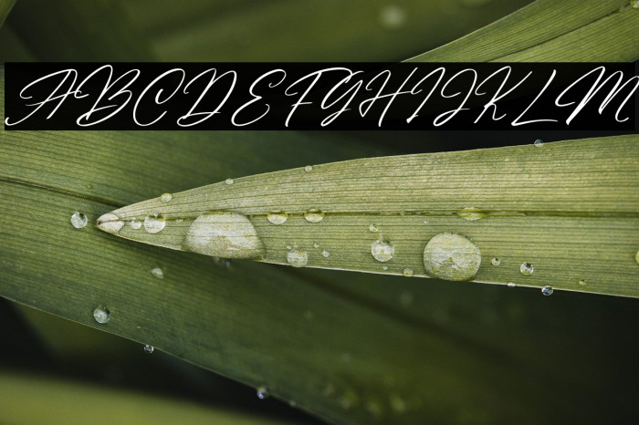 Andasia Personal Use Example 3