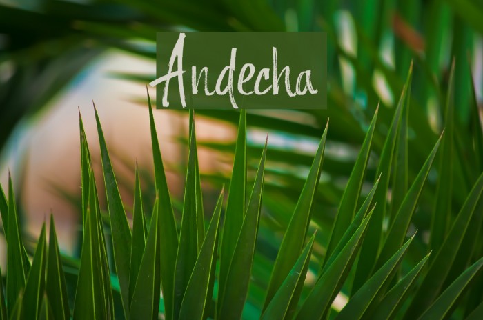 Andecha Font examples