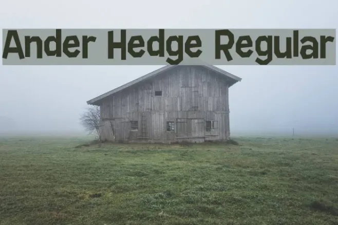 Ander Hedge Regular Example 1