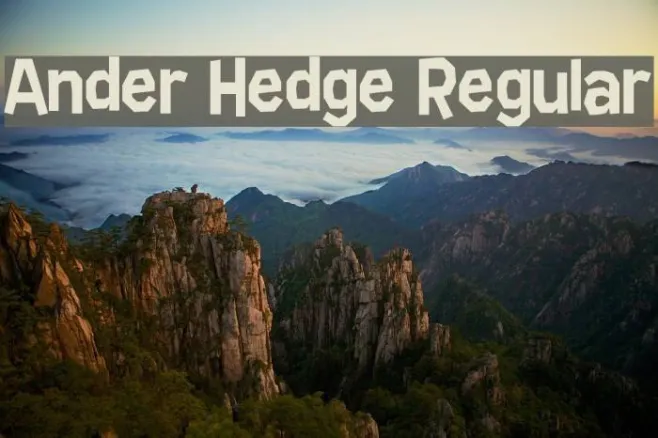 Ander Hedge Regular Example 2
