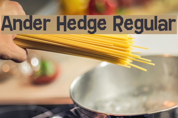 Ander Hedge Regular Font examples