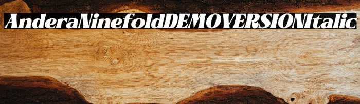 Andera Ninefold DEMO VERSION Italic Example 3