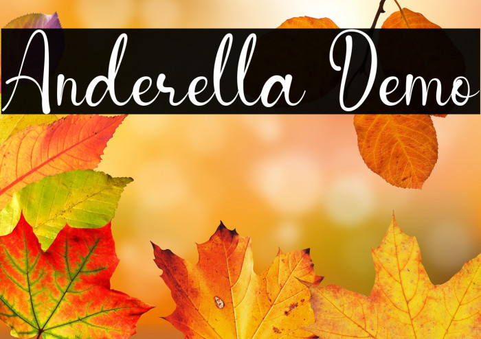 Anderella Demo Example 1