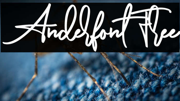 AnderfontFree Example 1