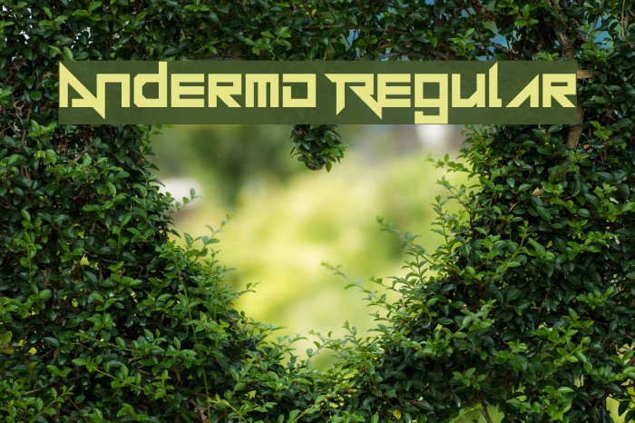 Andermo Regular Font examples